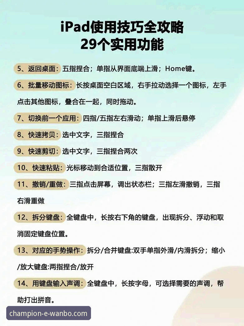 万搏体育平台2025全新版本体验使用技巧教程：从下载到精通的操作指南